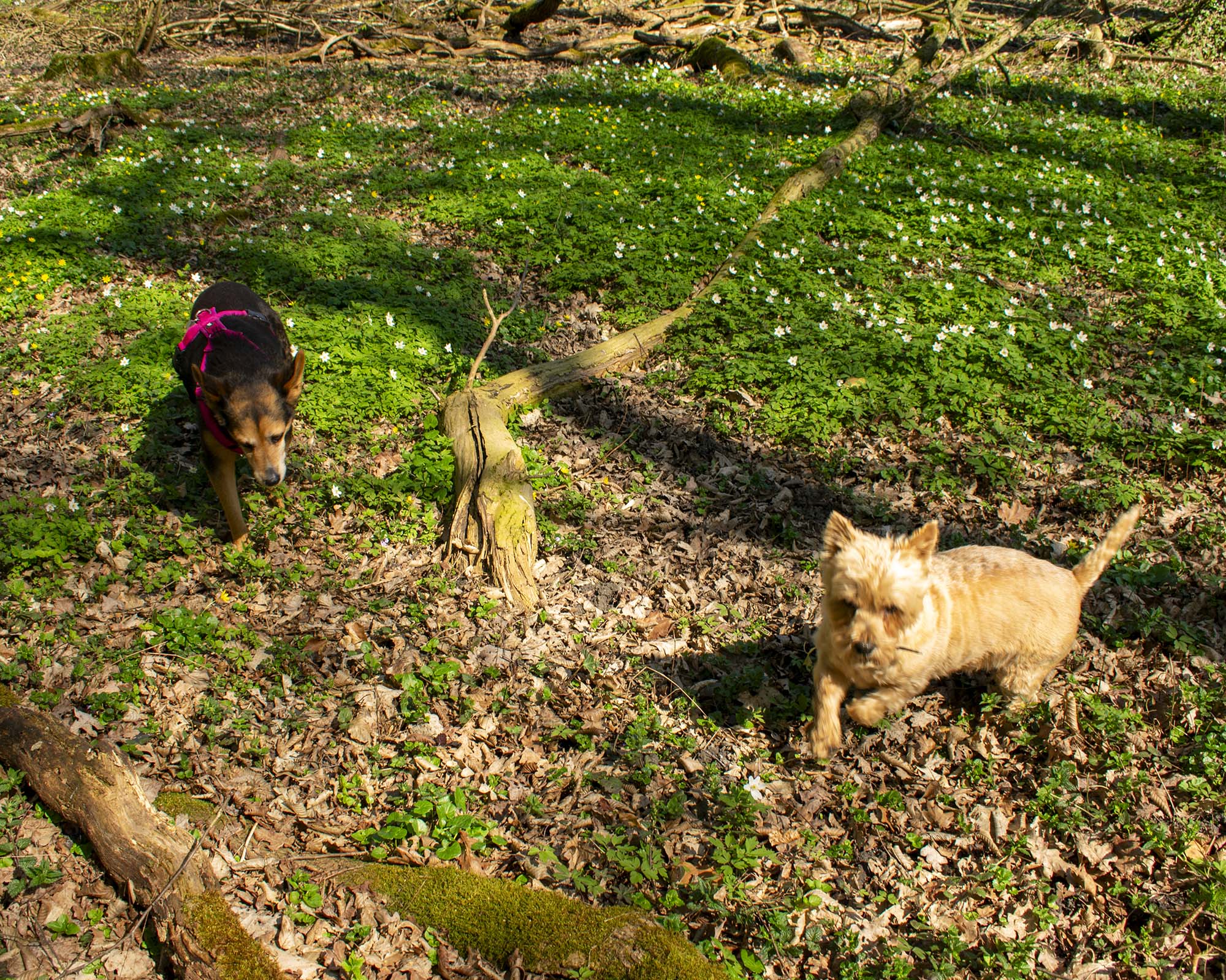 Rubi und Flori haben Spaß