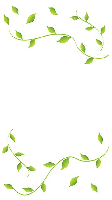 Template mit Bl&auml;ttern