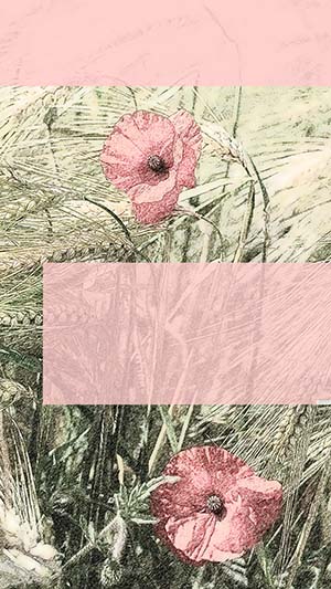 template f&uuml;r Instagram Story mit gezeichnetem Motiv von Blumen im Kornfeld.