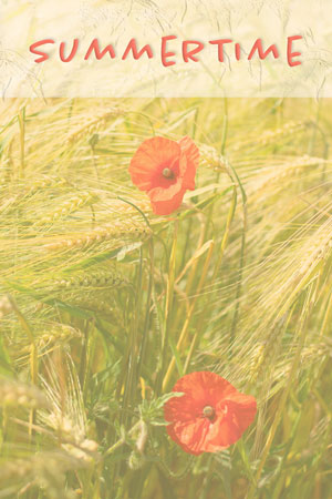 Mohnbl&uuml;ten im Kornfeld mit dem Text Summertime