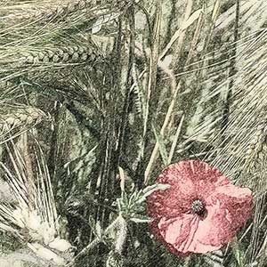 Vorlage f&uuml;r Pinterest mit Kornfeld und Blume in rosa