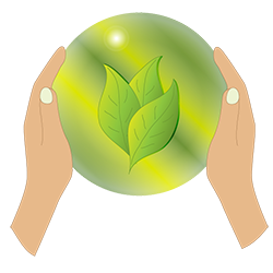 H&auml;nde halten eine gr&uuml;ne Glaskugel in der sch&ouml;ne Bl&auml;tter sind.